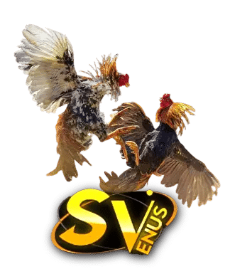 SV