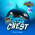 Chest